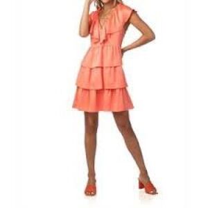 NWT Crosby by Mollie Burch Zuri Dress